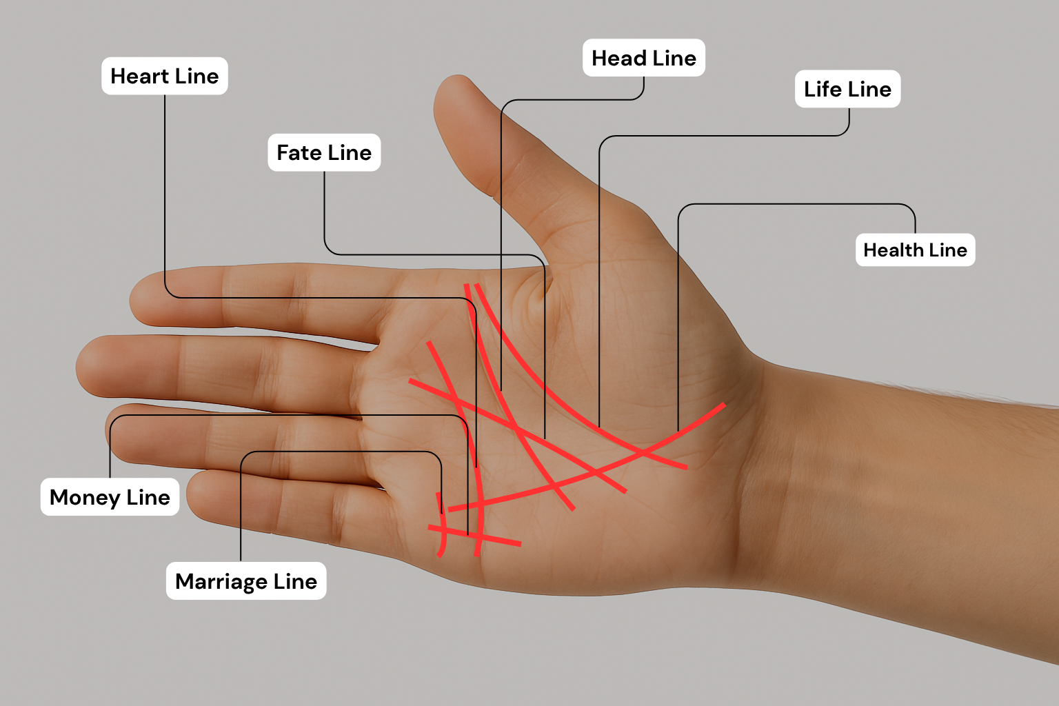 Hand Palm check by astrology Hand Palm